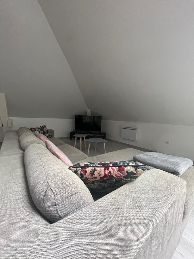 Dream Loft Apartment Colmar Luaran gambar
